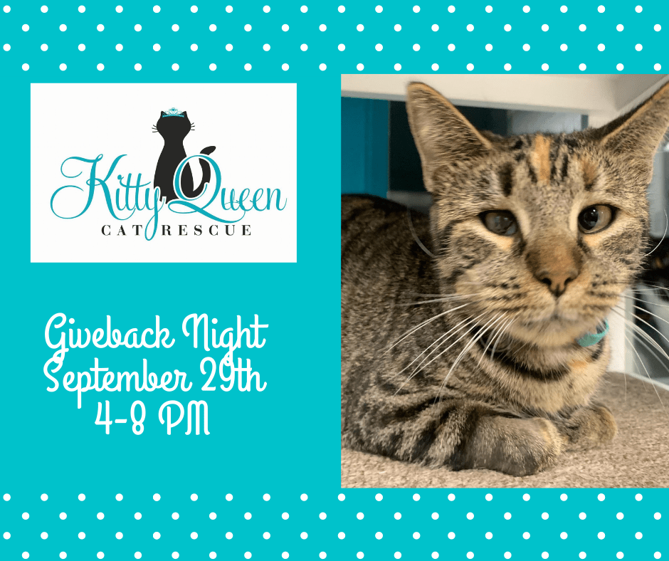 Kitty Queen Cat Rescue Giveback Night